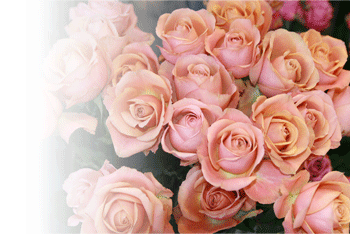 �T���v���C���[�W